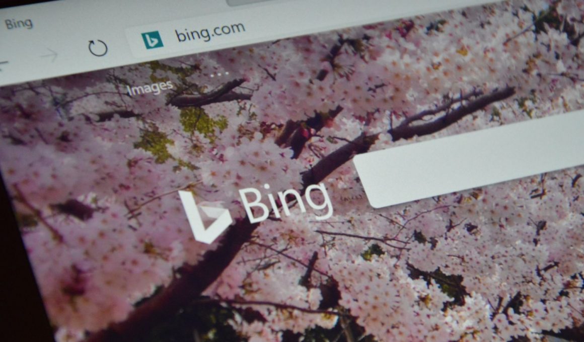 Bing