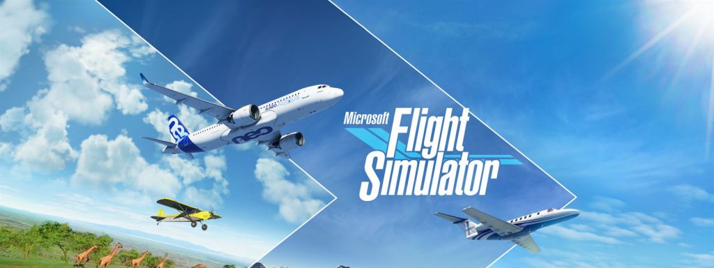 Microsoft Flight Simulator