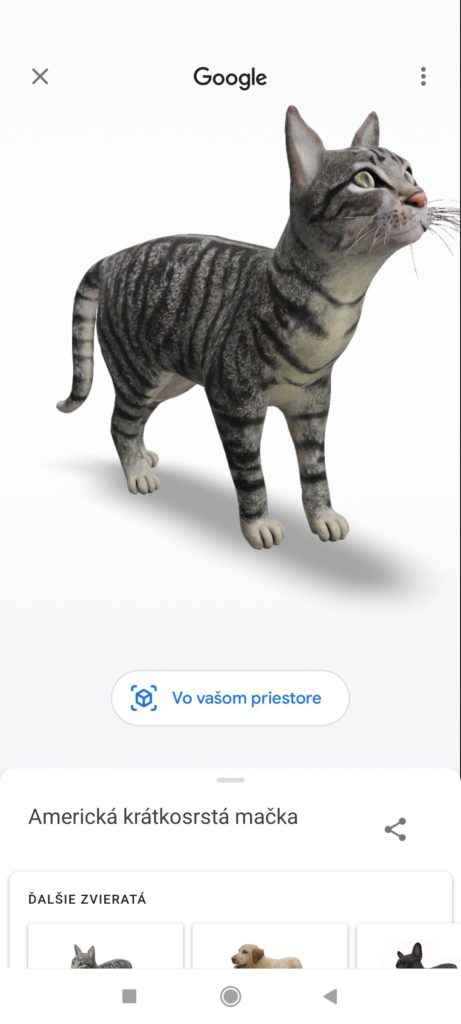Google 3D zvieratá