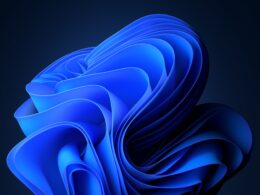 Modrý kvet Bloom z Windows 11 zložený z prehýbaných hodvábnych pásov, ktoré sa točia do stredu, na tmavomodrom takmer čiernom pozadí.