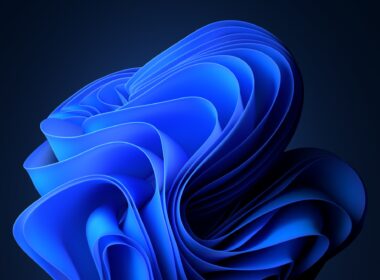 Modrý kvet Bloom z Windows 11 zložený z prehýbaných hodvábnych pásov, ktoré sa točia do stredu, na tmavomodrom takmer čiernom pozadí.
